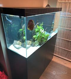 acquario Askoll Ciano + filtri eheim professionali