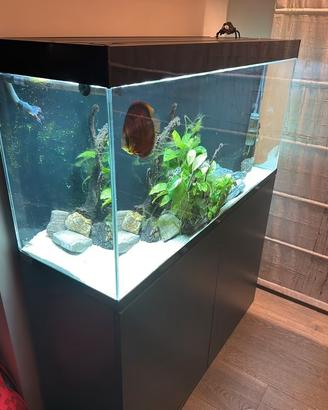 acquario Askoll Ciano + filtri eheim professionali