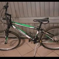 bici ragazzo