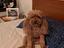 Immagine 1