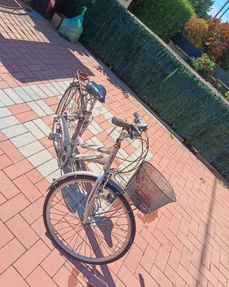 bicicletta 
