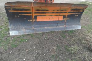 lama da neve assaloni