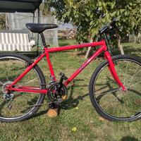 Specialized Rockhopper