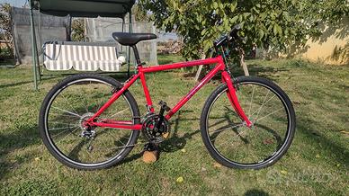 Specialized Rockhopper