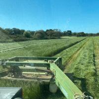Falce krone 283 amt