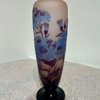 Cineraria - Vaso Galle