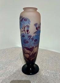 Cineraria - Vaso Galle