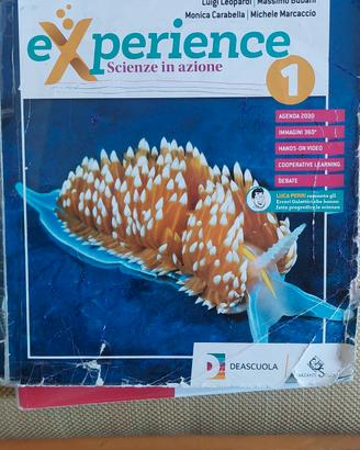 Experience vol 1