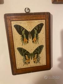 quadri in legno
