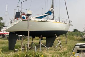 Barca a vela cantiere alimar