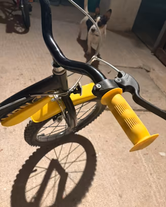 Bici bambino batman