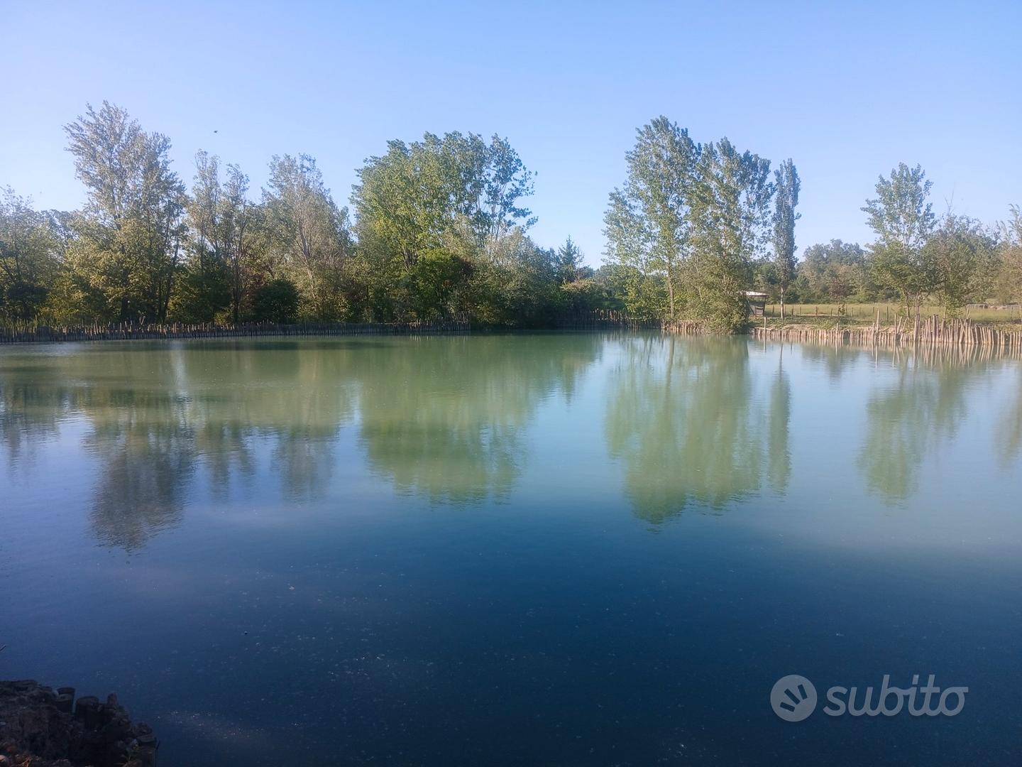 Terreno con lago - Vista 3