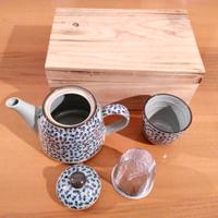 Set da the: teiera in ceramica con filtro e tazza