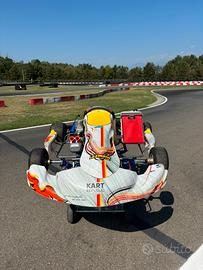 GO KART COMPLETO KR TM OK-J
