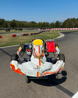 GO KART COMPLETO KR TM OK-J