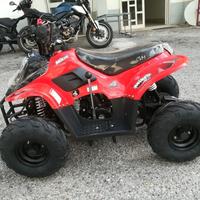 ricambi per mini quad 110