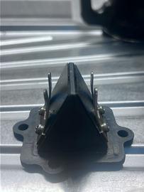 pacco lamellare poloni