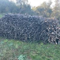 Legna ulivo da ardere