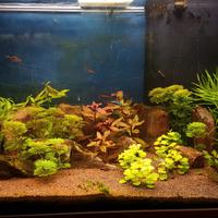 acquario 80cm con mobiletto