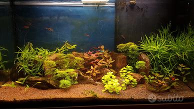 acquario 80cm con mobiletto