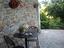 Immagine 6