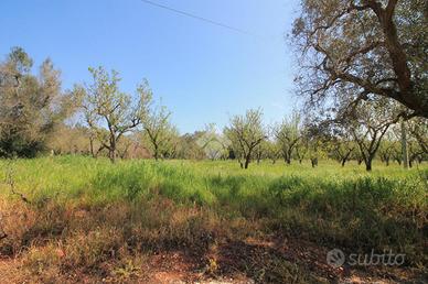 TER. RESIDENZIALE A OSTUNI