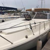 Sea Ray 31 Vanguard Express