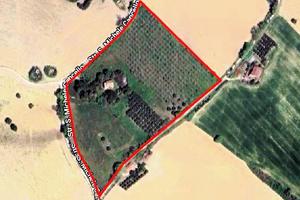 Casa Colonica con Terreno - Monterubbiano