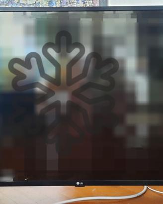 Televisore LG 43 pollici schermo rotto