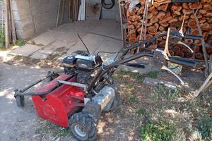 Motore con trincia