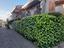 Immagine 21