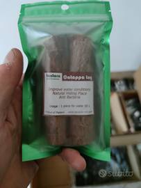 Catappa per acquario