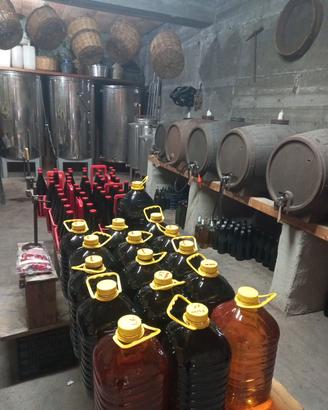 mosto e vino bio palizzi 