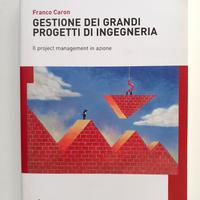 Gestione dei grandi progetti di ingegneria - Caron