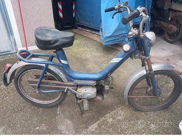  tubone  morini  giuglietta 