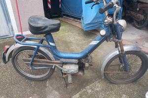  tubone  morini  giuglietta 