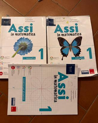 Libro scuola assi in matematica 1