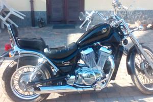 suzuki intruder  800