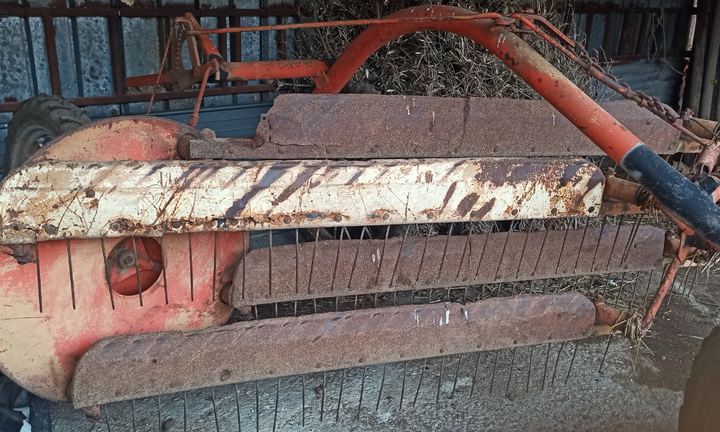 Ranghinatore bcs mainardi