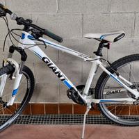 Mountain bike GIANT Revel 3