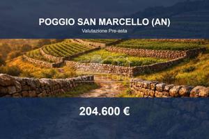 Immobile in asta di 147350 m² a Poggio San Marcell