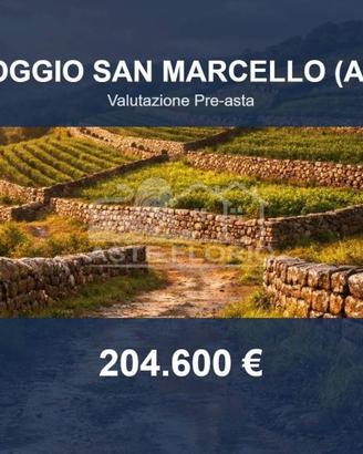 Immobile in asta di 147350 m² a Poggio San Marcell