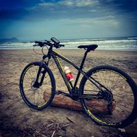 MTB OLYMPIA DRAKE 29 