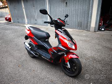 bellini B2 50 