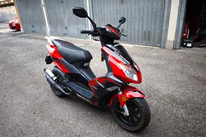bellini B2 50 