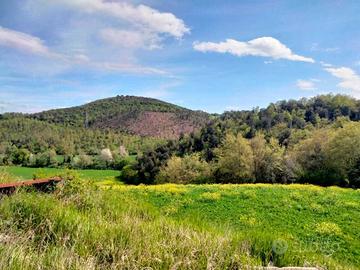 Area verde a Amelia