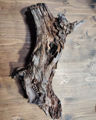 legno tronco per terrari, acquari e decoraziini