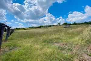 San cesareo: terreno agricolo