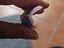 Immagine 5