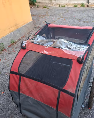 Carrello trasporto cani
